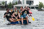 Jaaroverzicht 2016
