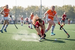 Jaaroverzicht 2021